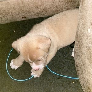 Meet your Posher, Bria